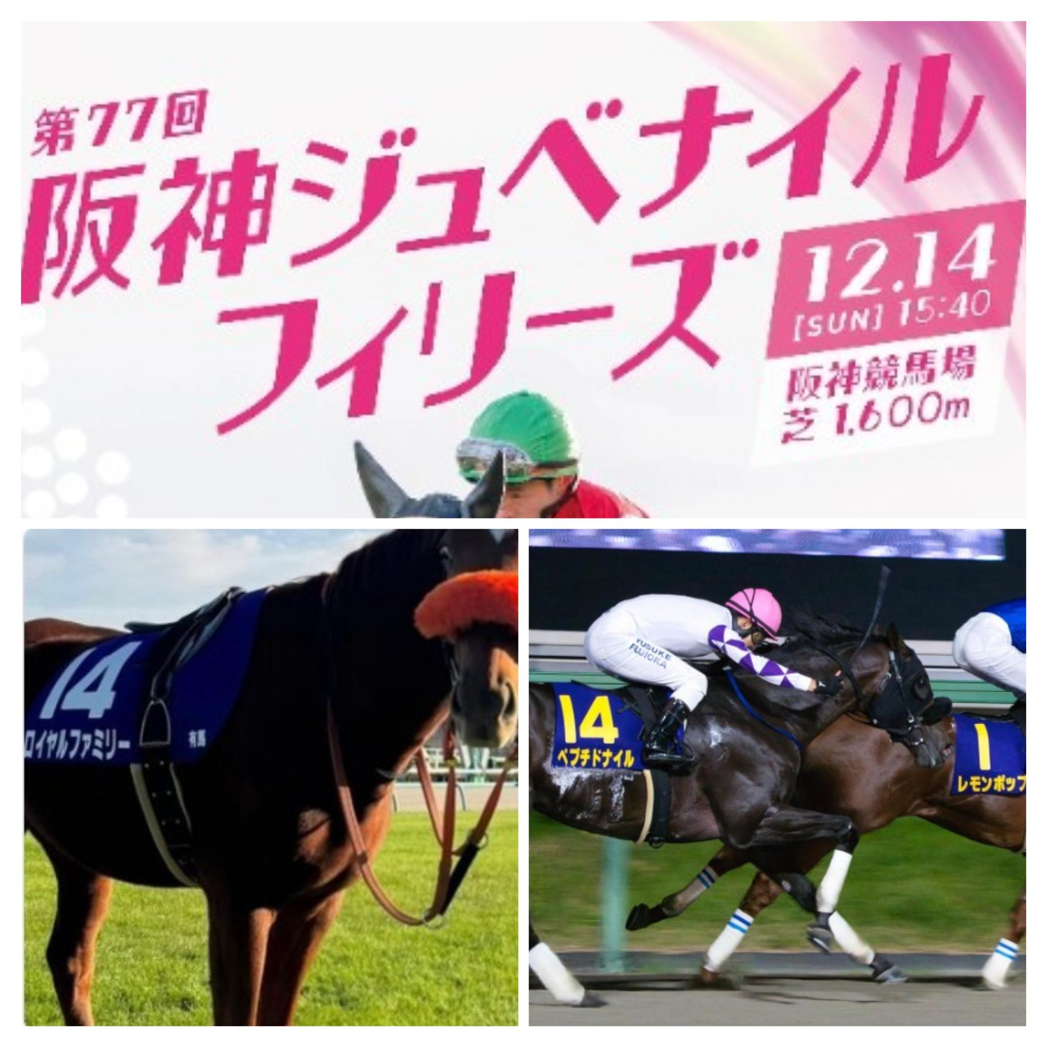 サイン会議 - 最強のサイン読み戦士が集う、日本一の掲示板！