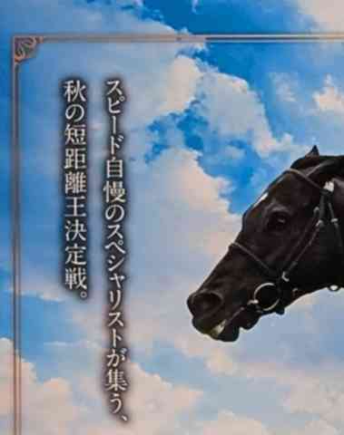サイン会議 - 最強のサイン読み戦士が集う、日本一の掲示板！