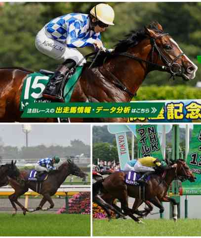 早い者勝ち‼️交流会の後で　サイン HATTRICK（ハットトリック）-選手の想いをファンへ届ける公式