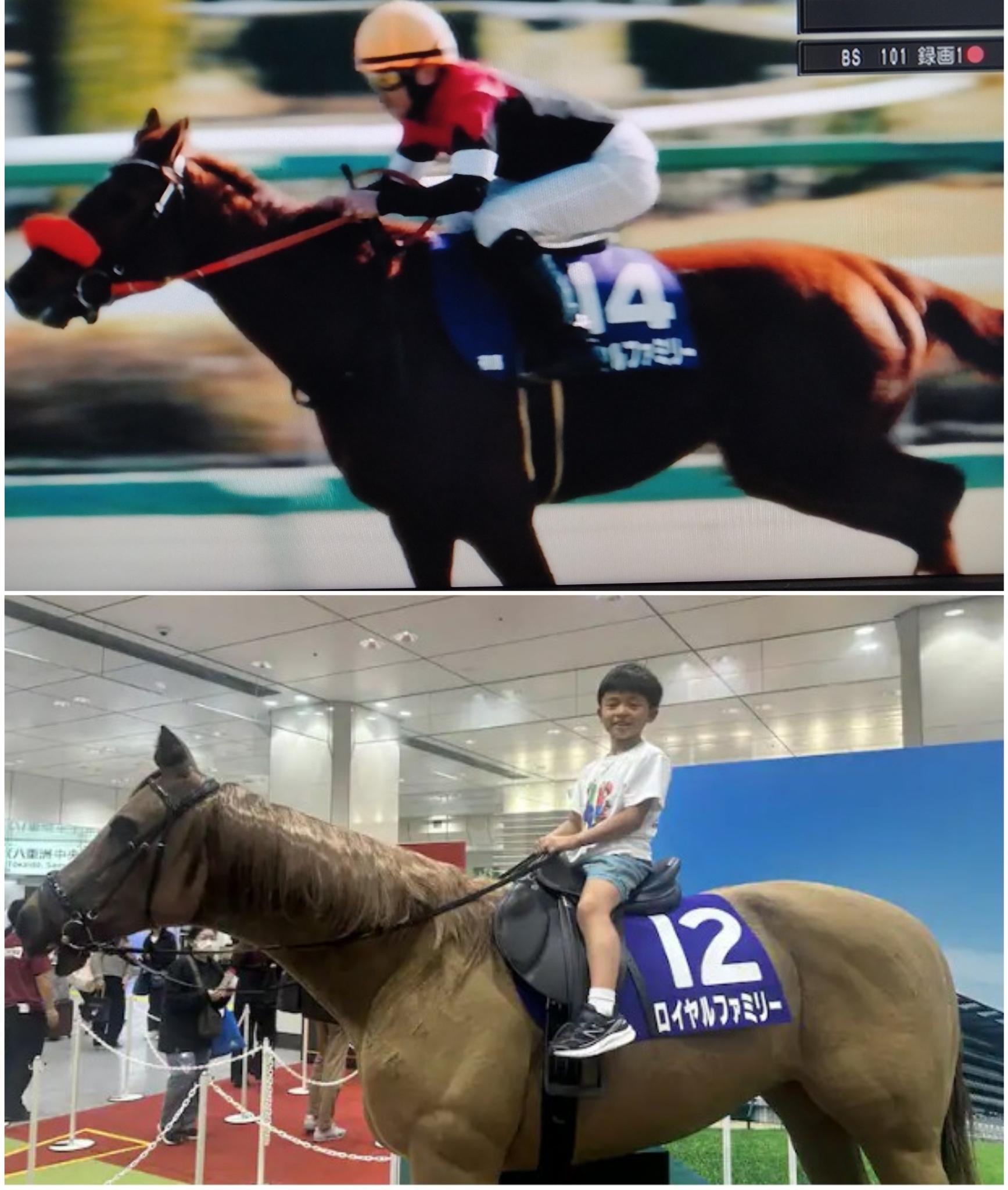 サイン 競馬 掲示板